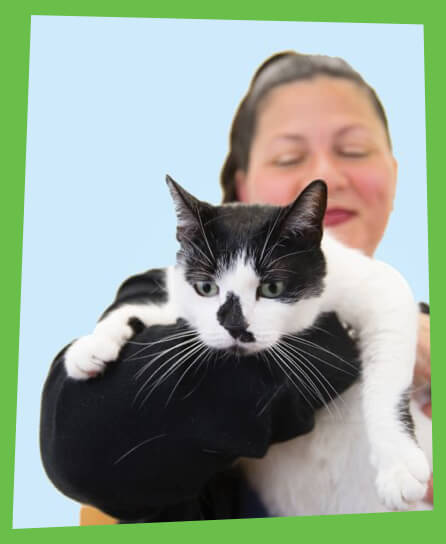 Domestic Violence Survivor Holds a Cat with a White Background
